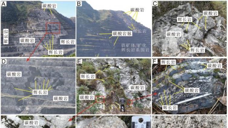 四川攀枝花二叠纪碳酸岩-稀土矿化碱性杂岩的发现及意义